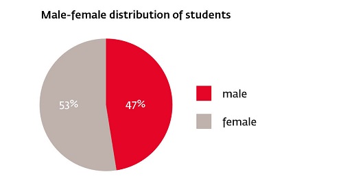 male female distribution students